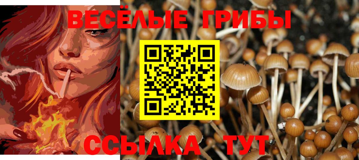 Галлюциногенные грибы ЛСД  Псилоцибиновые грибы Psilocybine cubensis  Саров  Вход с VPN 